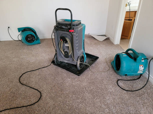 Best Water damage cleanup near me  in South Haven, IN