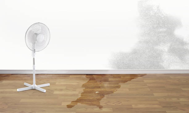  South Haven, IN Water damage restoration Pros