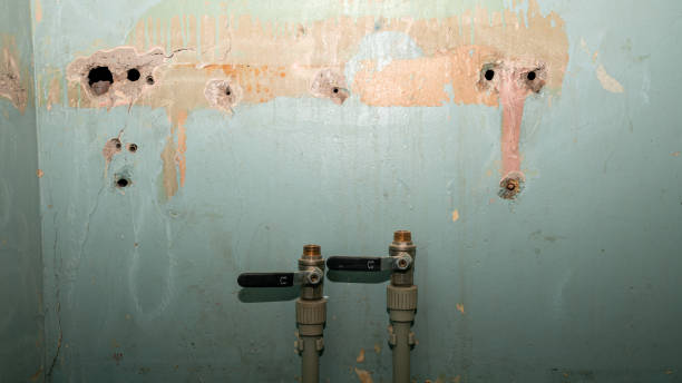 Best Water damage restoration process  in South Haven, IN