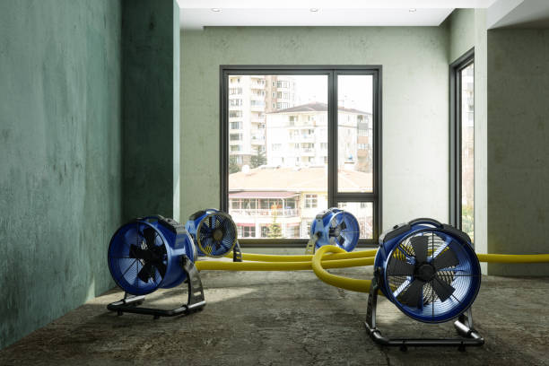 Best Water damage restoration mold remediation  in South Haven, IN